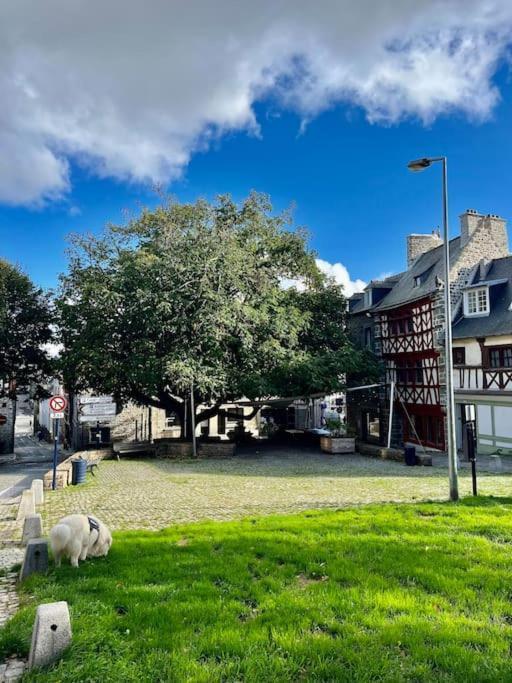 Le Cottage Breton, Hypercentre Historique Stb Saint-Brieuc Eksteriør bilde